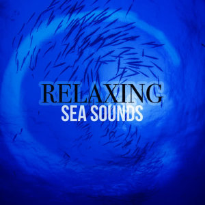 收聽Relaxing Sea Sounds的Cool Ocean Waves歌詞歌曲