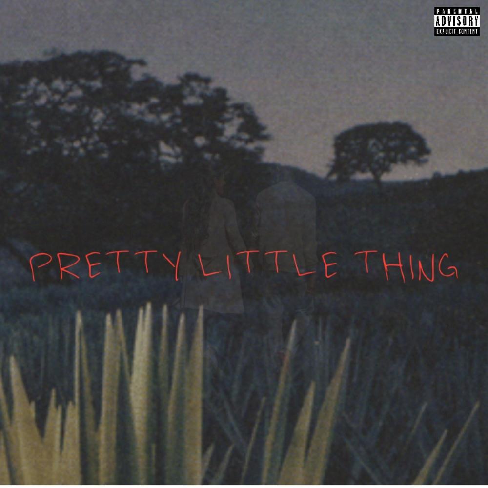 P . L . T (Explicit)