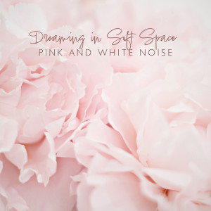 อัลบัม Dreaming in Soft Space (Pink and White Noise, Inner Healing) ศิลปิน Night White Noise Universe