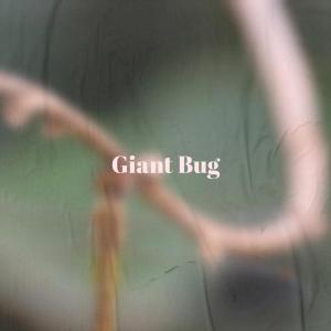 Album Giant Bug from Various