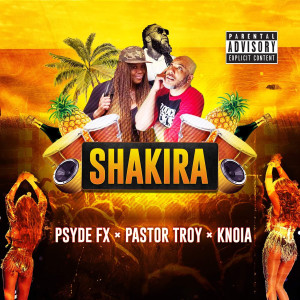 Album Shakira (Explicit) from KNOIA