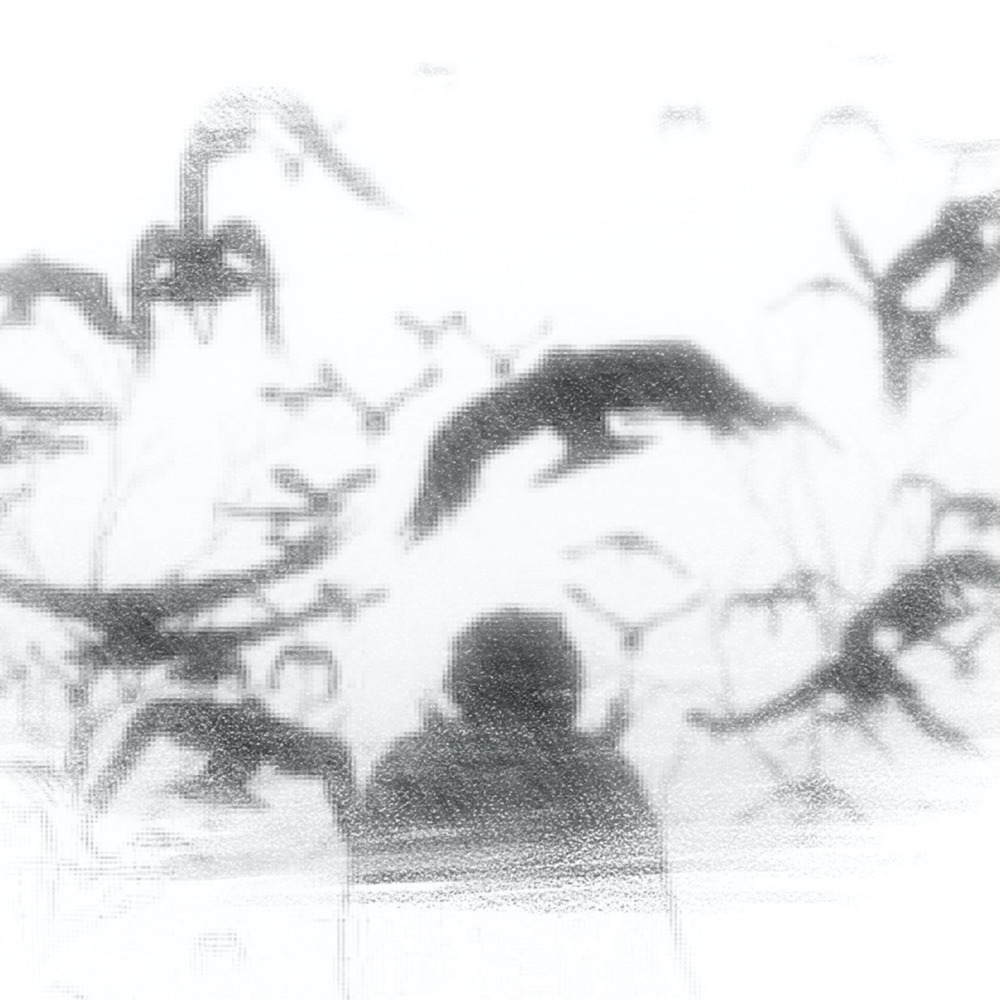 outsider