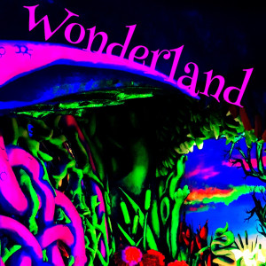 收聽Julez Sky的Wonderland歌詞歌曲