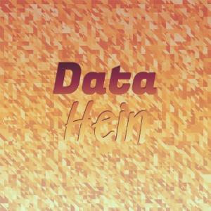 Various Artists的專輯Data Hein