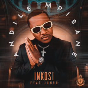 Andile Mpisane的專輯Inkosi