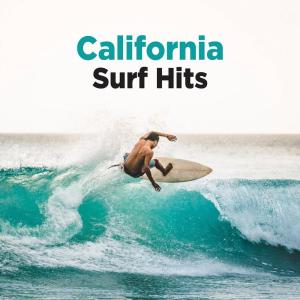 收聽The Malibus的Surfin' Bird (Oceanside Version)歌詞歌曲