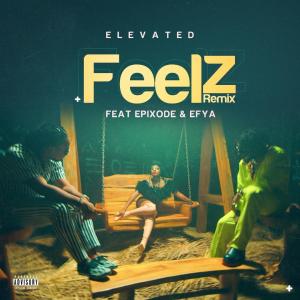 Efya的專輯Feelz (feat. Epixode & Efya)