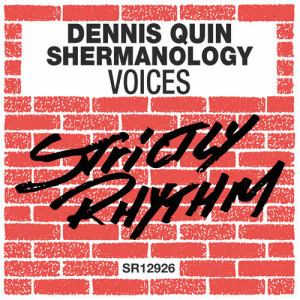 ดาวน์โหลดและฟังเพลง Voices พร้อมเนื้อเพลงจาก Dennis Quin
