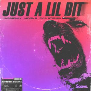 Just A Lil Bit (feat. Flyn Stoned) [Turtleneck (UK) Remix] (Explicit) dari Flyn Stoned