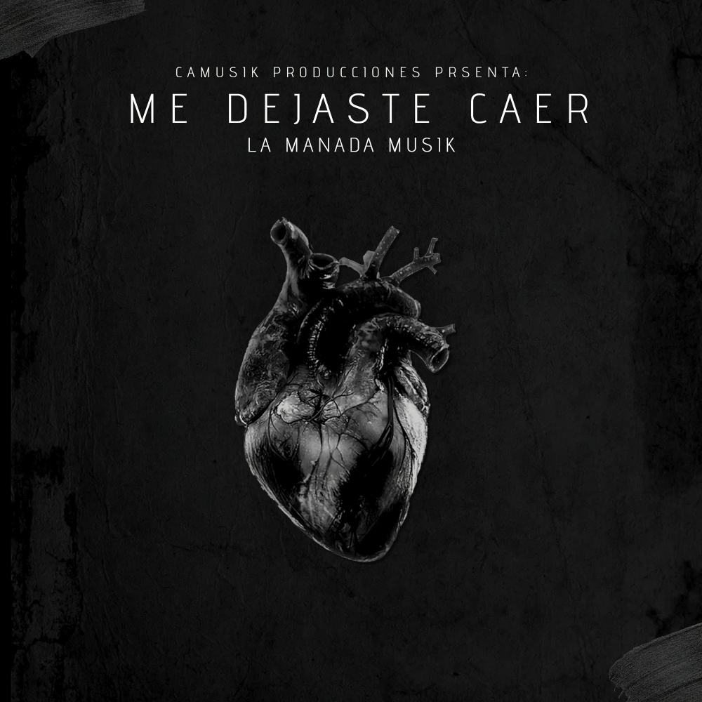 Me Dejaste Caer