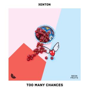 Xenton的專輯Too Many Chances