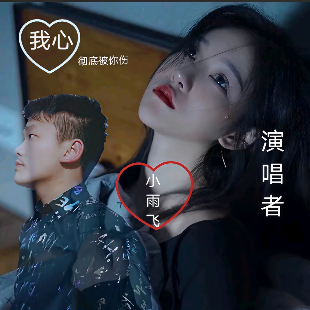 好不了也忘不掉（伤感版） (cover: 山 夜星晨) (完整版)