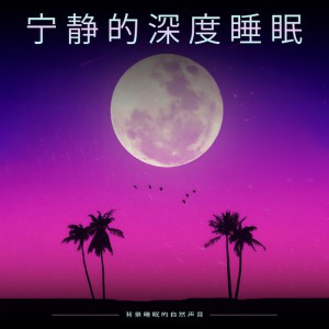 收聽睡覺的音樂的最適合睡眠的音樂歌詞歌曲