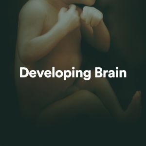 Album Developing Brain from Baby Sleep Music