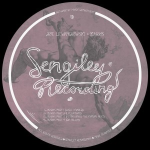 ดาวน์โหลดและฟังเพลง Icarus Pt 1(Wish I Could) พร้อมเนื้อเพลงจาก Joe Lewandowski