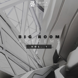 อัลบัม Big Room Anthems, Vol. 1 ศิลปิน Various Artists