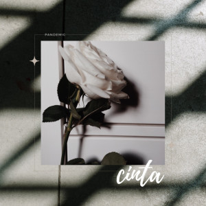Album Cinta from Pandemic