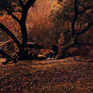 收聽Xander William的Ain't Luv歌詞歌曲