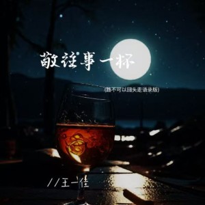 王一佳的专辑敬往事一杯（路不可以回头走语录版）