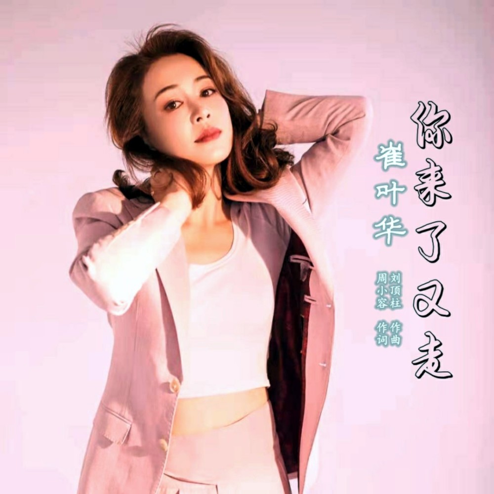 你来了又走 (完整版)