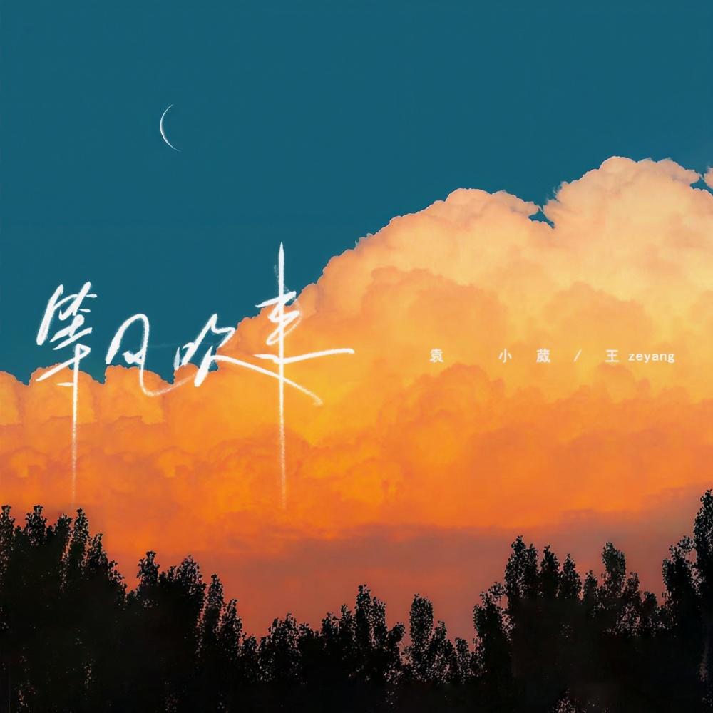 等风吹来