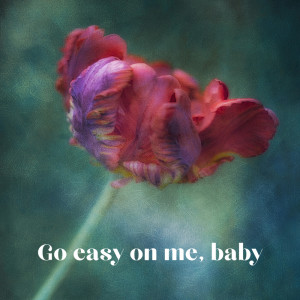 Listen to Go Easy on Me, Baby song with lyrics from Yohana