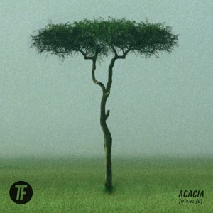 อัลบัม Acacia ศิลปิน Telefiksi