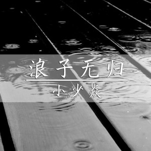 Listen to 浪子无归 song with lyrics from 小少焱