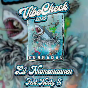 Album Vibe Check 2020 (Surnadal) from Lil Namsmannen