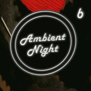 Various的专辑Ambient Nights 6