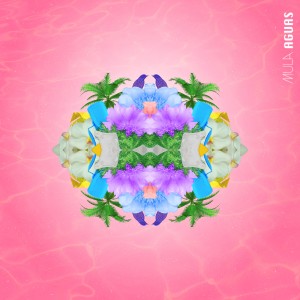 收聽MULA的Nunca Paran歌詞歌曲