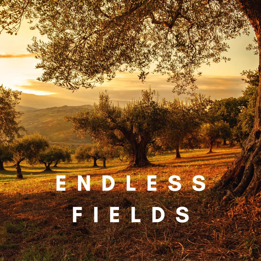 Endless Fields