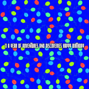 Album 11 A Year of Adventures and Discoveries Happy Birthday from Happy Birthday Party Crew