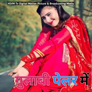 Chanchal mewati online song