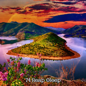 74 Reap Sleep dari Chill Out 2016
