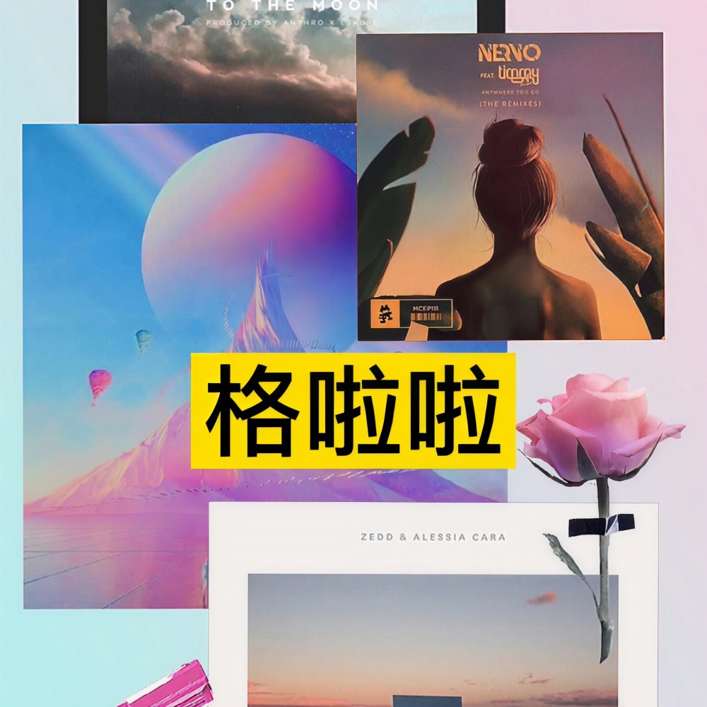 抖音最火车载电音 (Remix)