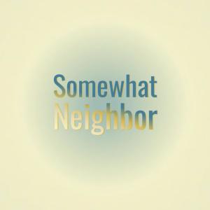Various的专辑Somewhat Neighbor