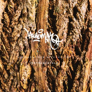 Album Bis das Leben applaudiert (Instrumentals) from 