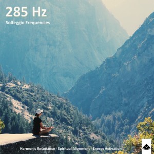 285 Hz - Enlightened Mind dari Owen Rivers
