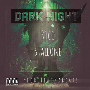 Listen to F.N (Explicit) song with lyrics from Rico Stallone