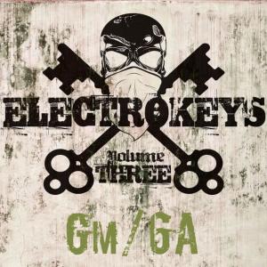Various的專輯Electro Keys Gm/6a Vol 3