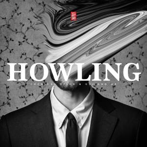 Listen to Howling (Radio Edit) song with lyrics from Chemical Disco
