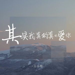 Album 其实我真的真的爱你 (吉他版) from 王小帅