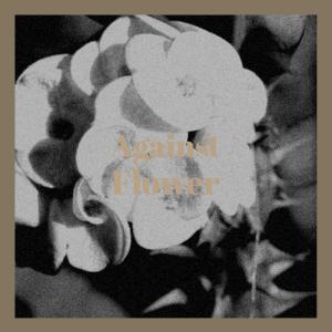 Listen to Pass Party song with lyrics from Fora Burer
