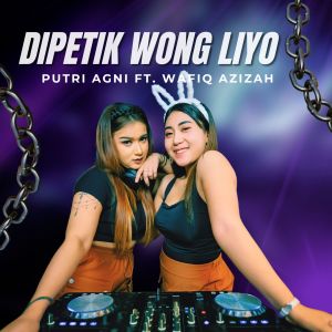 Album Dipetik Wong Liyo (Remix) from Putri Agni