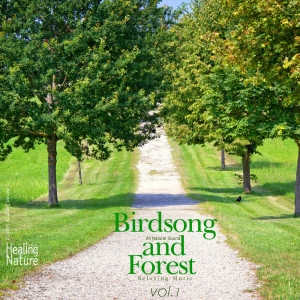 ดาวน์โหลดและฟังเพลง Birds and Forest Sound 5 พร้อมเนื้อเพลงจาก 힐링 네이쳐 Nature Sound Band