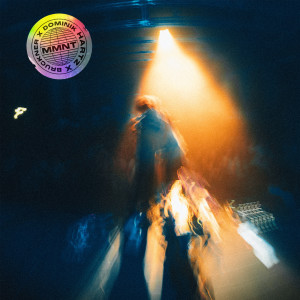 Album Moment (Explicit) from Dominik Hartz