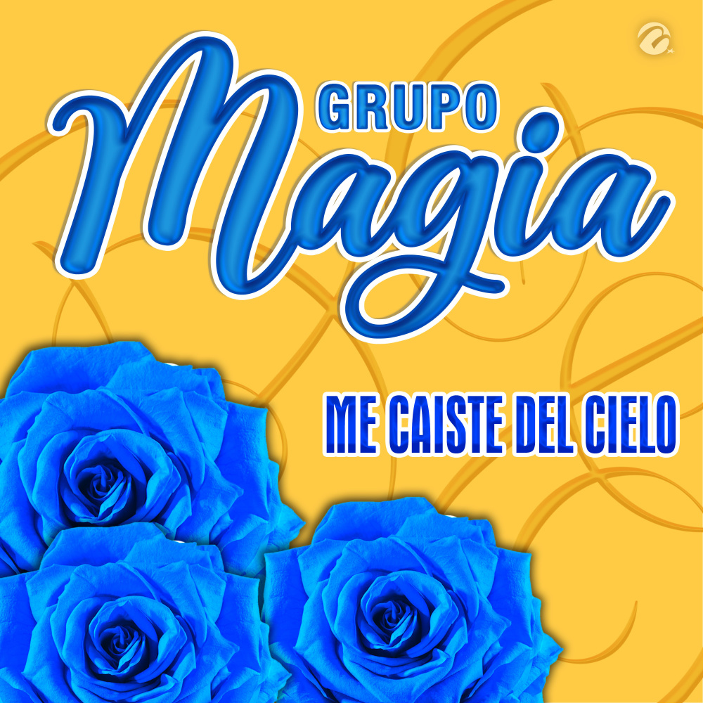 Me Caiste Del Cielo