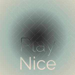 Album Play Nice from Various