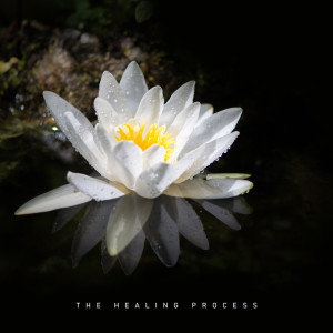 收听Spiritual Music Collection的Like a Thunder歌词歌曲
